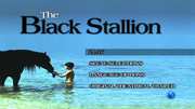 Preview Image for Screenshot from Black Stallion, The