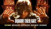 Preview Image for Screenshot from Dragon Tiger Gate