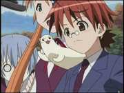 Preview Image for Screenshot from Negima - Magic 501: Magic Outside The Classroom