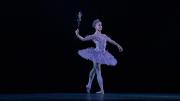 Preview Image for Image for Tchaikovsky: Sleeping Beauty (Royal Ballet)