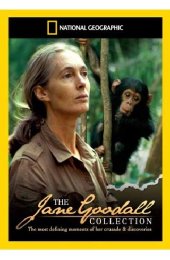 Preview Image for Jane Goodall Collection