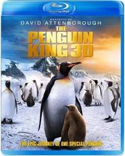 Preview Image for Wildlife documentary The Penguin King arrives on DVD and Blu-ray this November