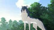 Preview Image for Image for Wolf Children: Collector's Edition