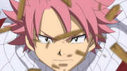 Preview Image for Image for Fairy Tail: Collection 1