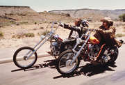 Preview Image for Image for Easy Rider